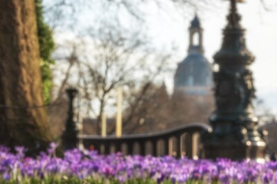 Februarfrühling