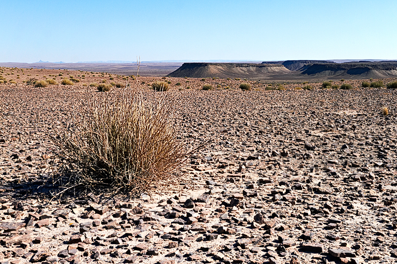 IMG_07574_7D_800.jpg - Fish River Canyon Gebiet (Ostrand), Namibia