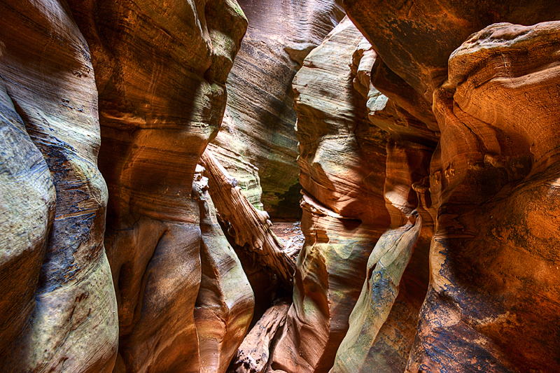 IMG_0041_HDR_V2.jpg - Pine Creek, Zion National Park