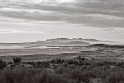 3397_RAW_SW3