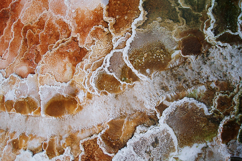 P7200053_800.jpg - Mammoth Hot Springs